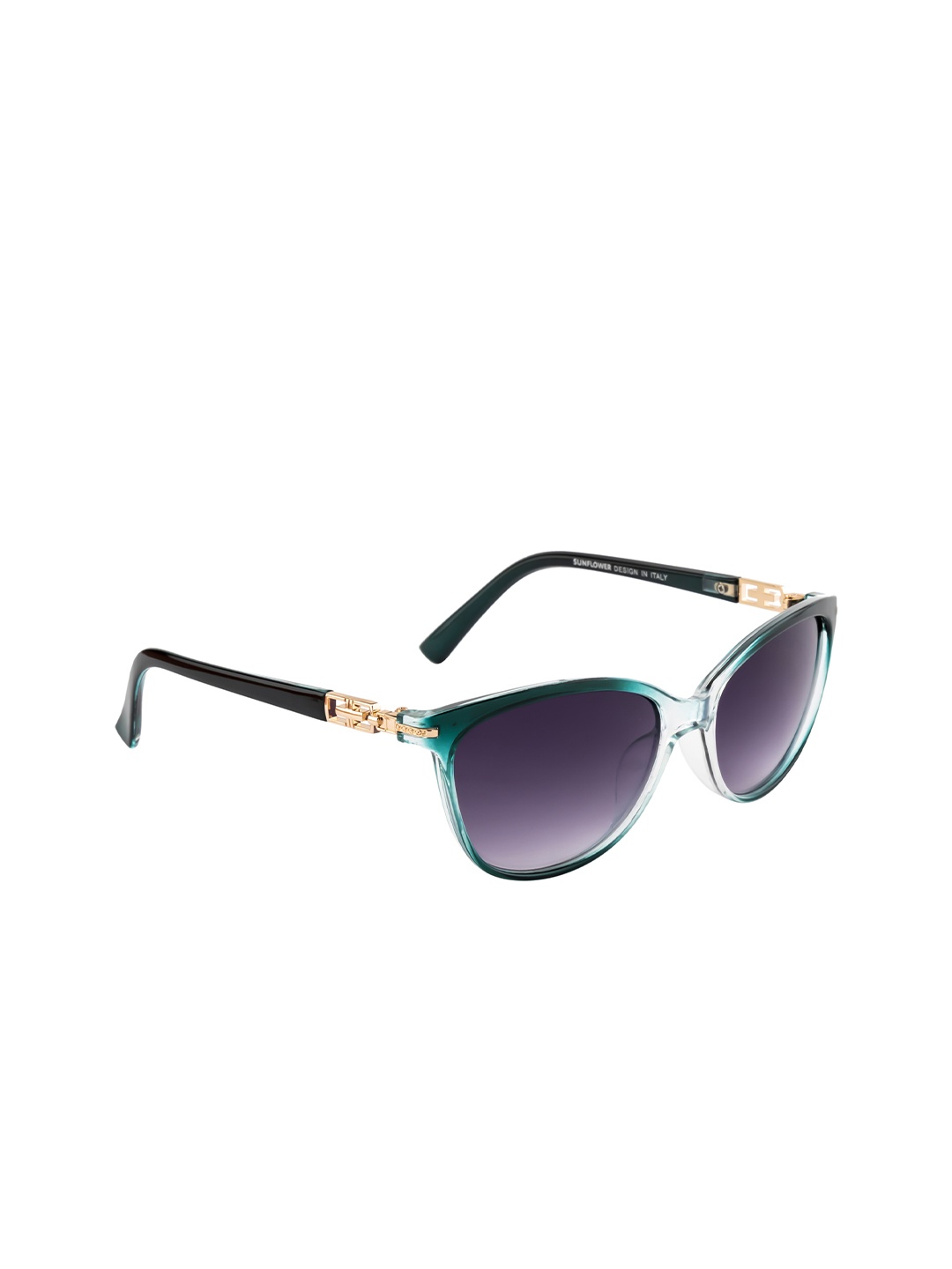 DressBerry Women Blue Lens & Green Oval Sunglasses with UV Protected Lens DB-P8561-C5
DressBerry Women Blue Lens & Green Oval Sunglasses with UV Protected Lens DB-P8561-C5