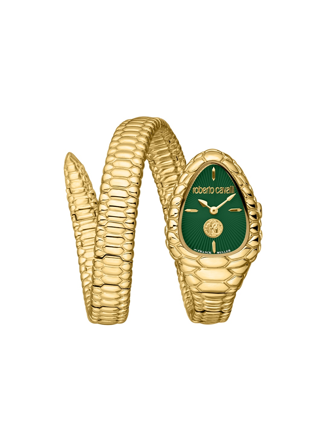 Roberto Cavalli by Franck Muller Women Green Patterned Dial & Gold Toned Stainless Steel Wrap Around Straps Watch
Roberto Cavalli by Franck Muller Women Green Patterned Dial & Gold Toned Stainless Steel Wrap Around Straps Watch