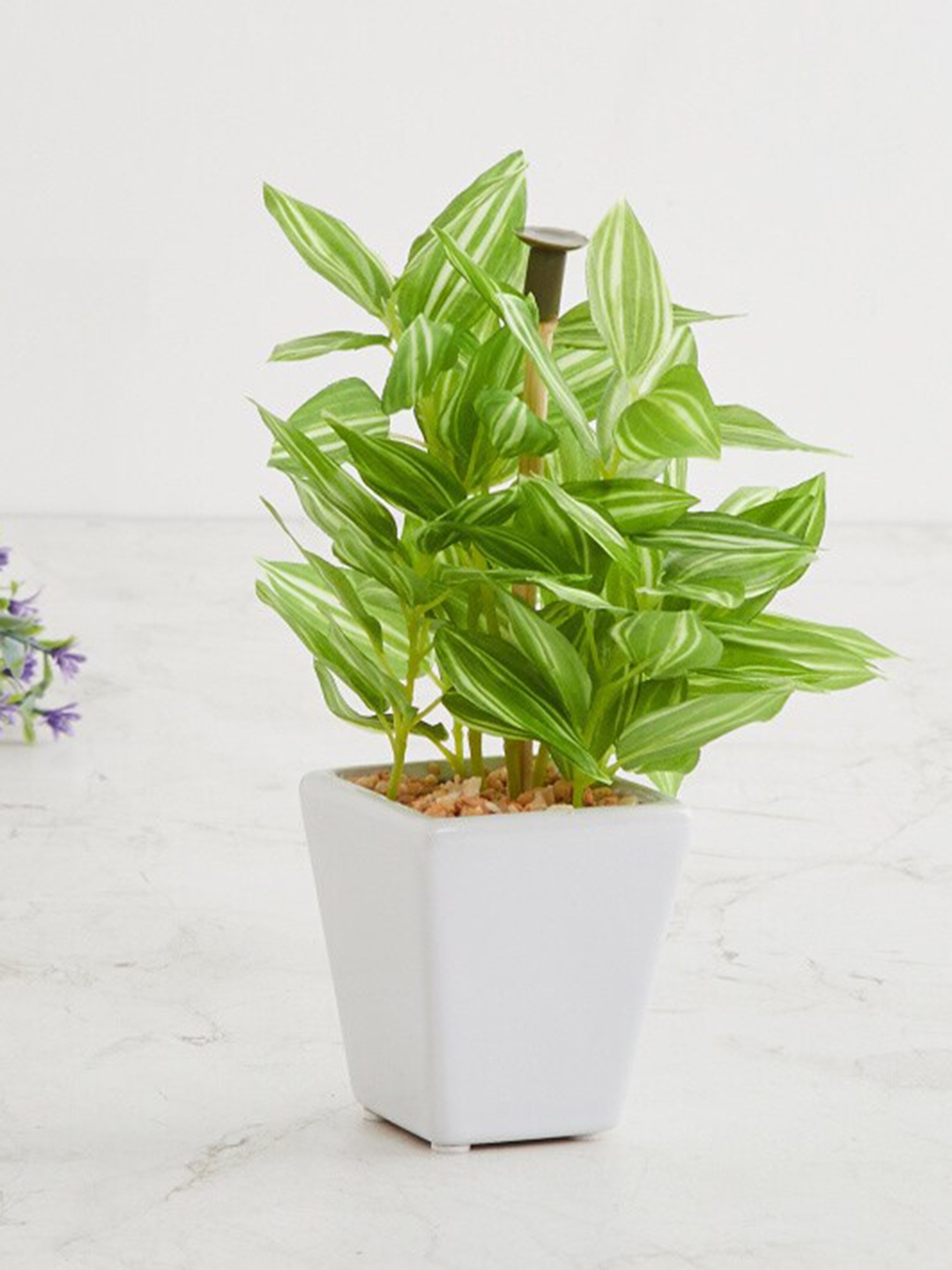 Fourwalls Green & White Artificial Wandering Jew Bonsai Plant With Pot
