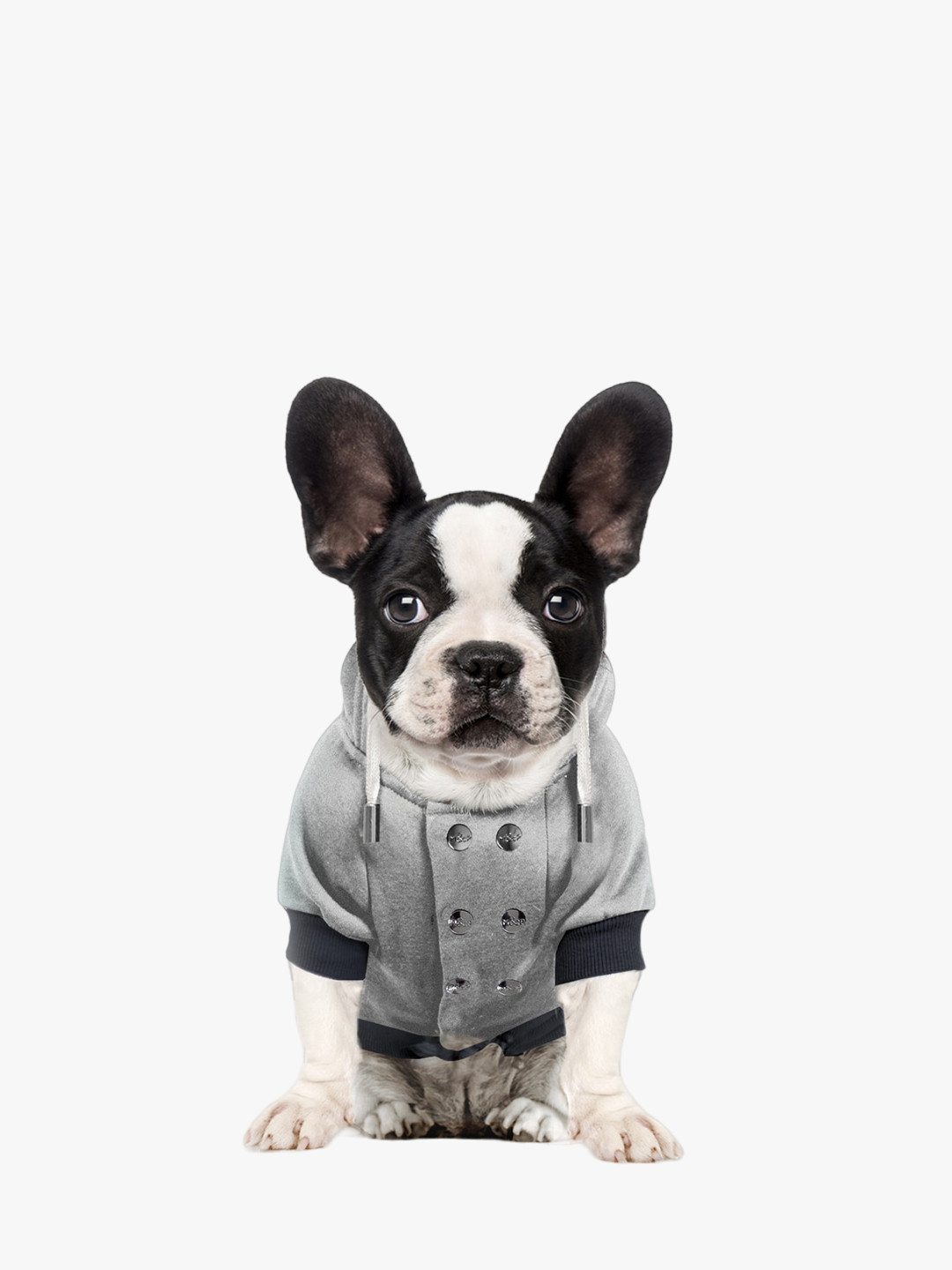 Milk & Pepper Grey Self Design Dog Hooded Sweatshirt 
Milk & Pepper Grey Self Design Dog Hooded Sweatshirt