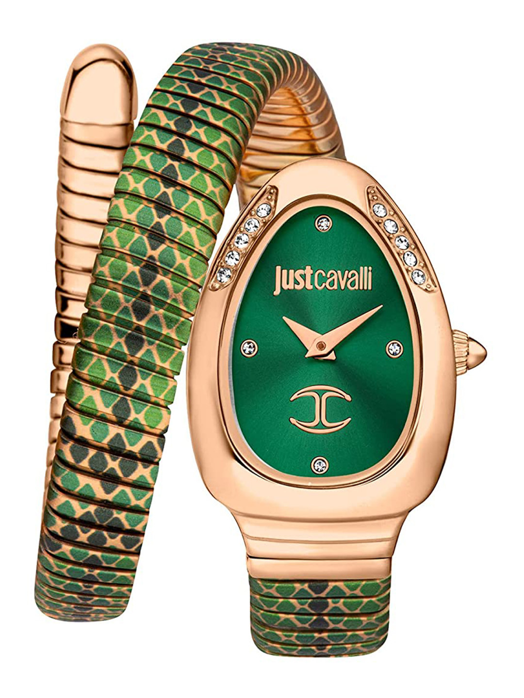 Just Cavalli Women Stainless Steel Wrap Around Straps Analogue Watch JC1L251M0075, Green
Just Cavalli Women Stainless Steel Wrap Around Straps Analogue Watch JC1L251M0075, Green