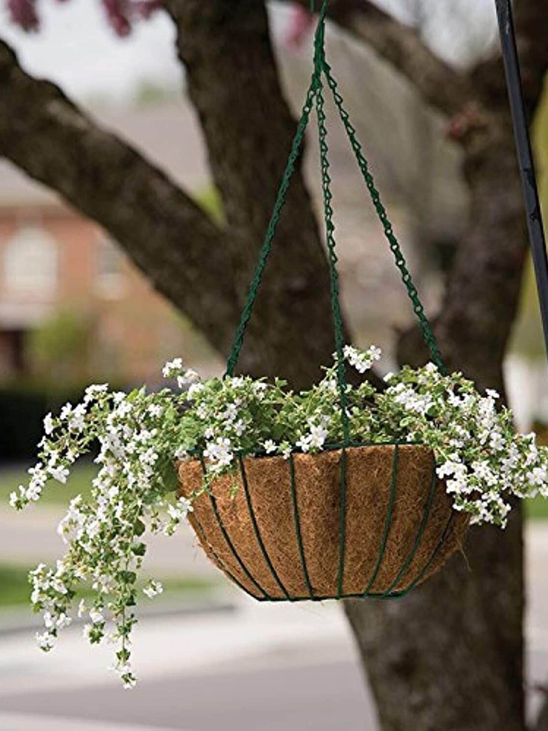 Garden Deco 2 Pcs Green & Brown Coir Hanging Basket Planters With Metal Hanging Chain
Garden Deco 2 Pcs Green & Brown Coir Hanging Basket Planters With Metal Hanging Chain