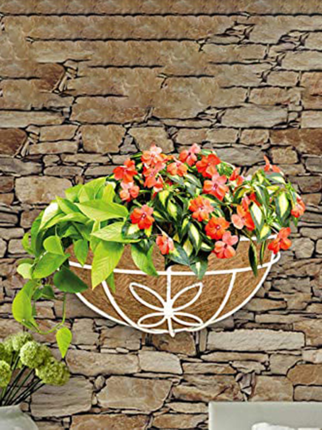 Garden Deco White & Brown 4 Pieces Flower Coir Wall Basket for Home & Garden Planters
Garden Deco White & Brown 4 Pieces Flower Coir Wall Basket for Home & Garden Planters