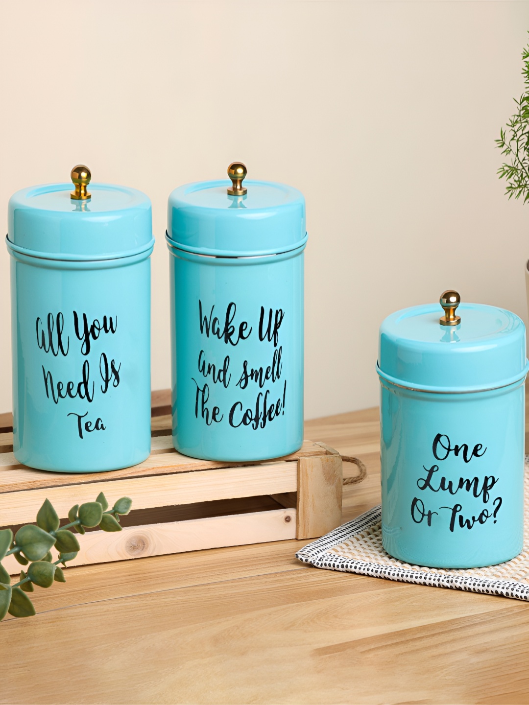 dudki Turquoise Blue 3 Pieces Stainless Steel Dishwasher and Microwave Safe Canister
dudki Turquoise Blue 3 Pieces Stainless Steel Dishwasher and Microwave Safe Canister