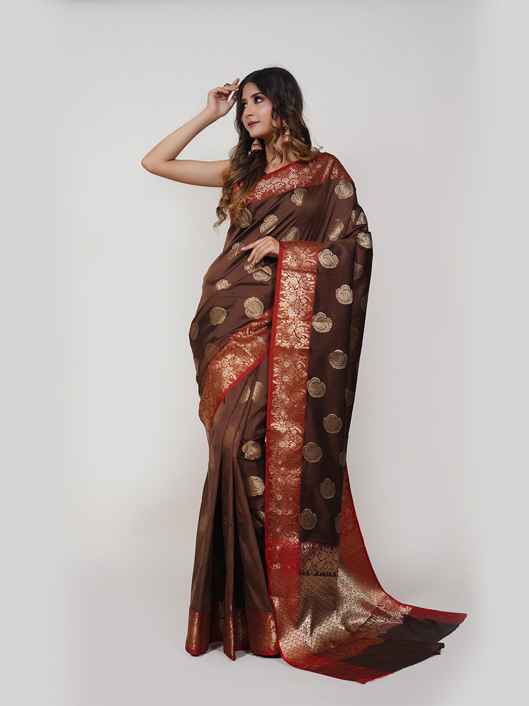 PTIEPL Banarasi Silk Works Ethnic Motifs Woven Design Zari Banarasi Saree, Brown
PTIEPL Banarasi Silk Works Ethnic Motifs Woven Design Zari Banarasi Saree, Brown
