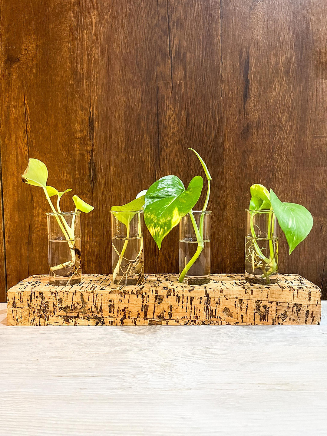 Raw Yarns Beige & Transparent Cork Planter With 4 Beakers
Raw Yarns Beige & Transparent Cork Planter With 4 Beakers