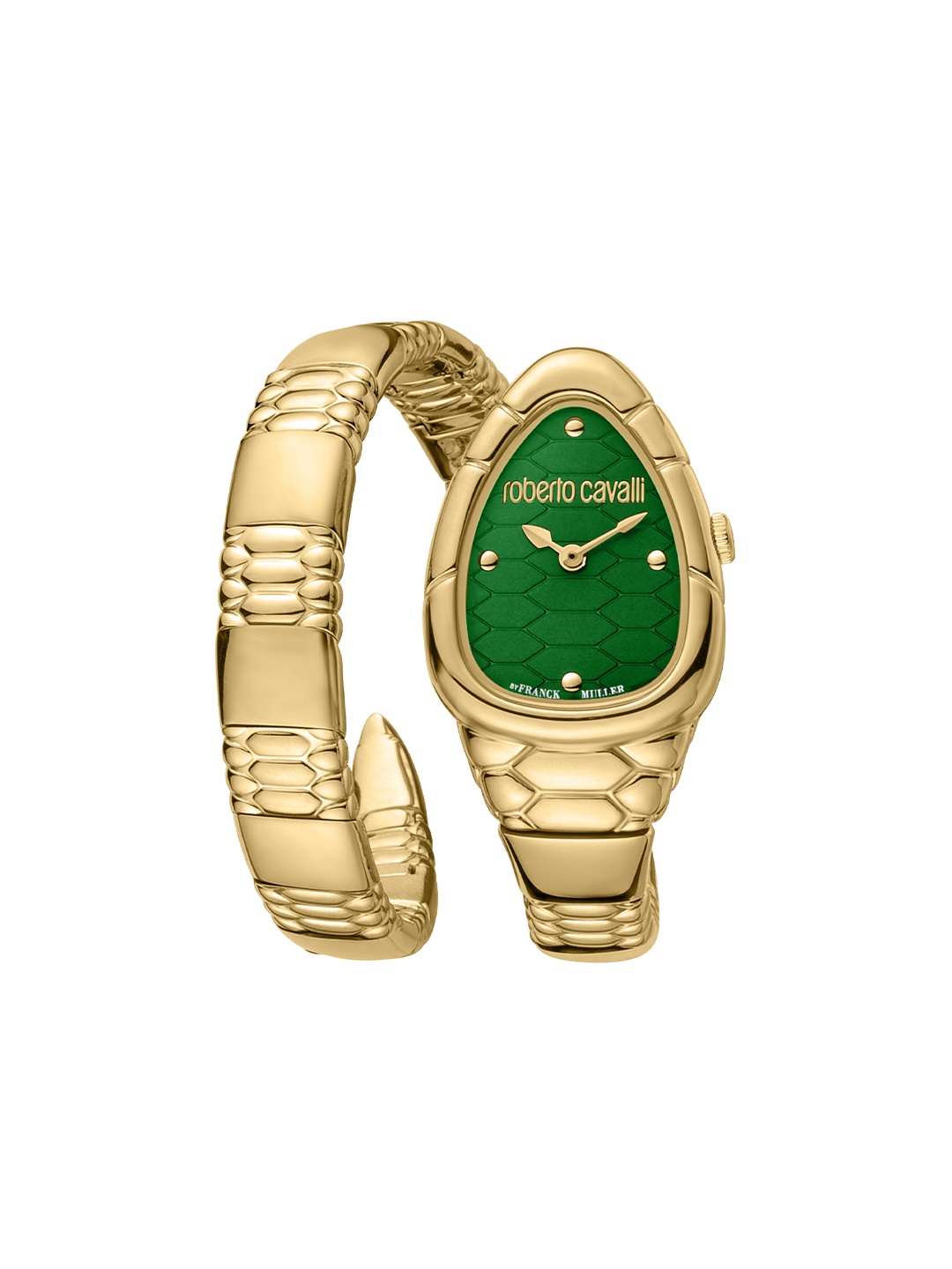 Roberto Cavalli by Franck Muller Women Green Dial & Gold Toned Stainless Steel Straps Watch RV1L184M0041
Roberto Cavalli by Franck Muller Women Green Dial & Gold Toned Stainless Steel Straps Watch RV1L184M0041