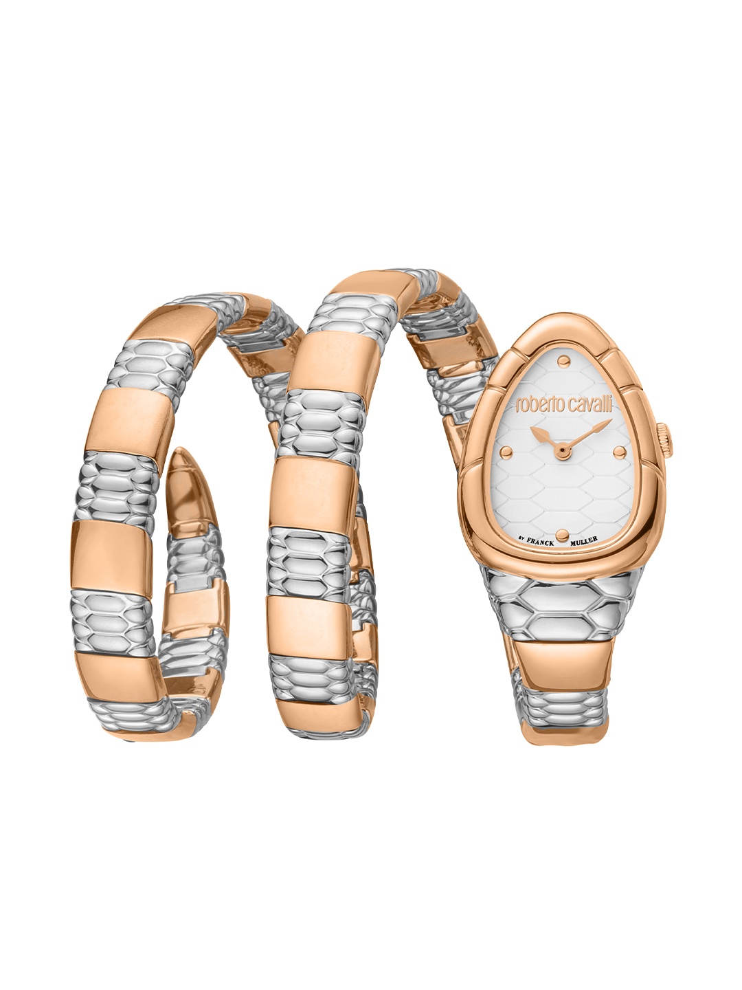 Roberto Cavalli by Franck Muller Women Silver-Toned Dial & Multicoloured Stainless Steel Straps Watch, Multi
Roberto Cavalli by Franck Muller Women Silver-Toned Dial & Multicoloured Stainless Steel Straps Watch, Multi