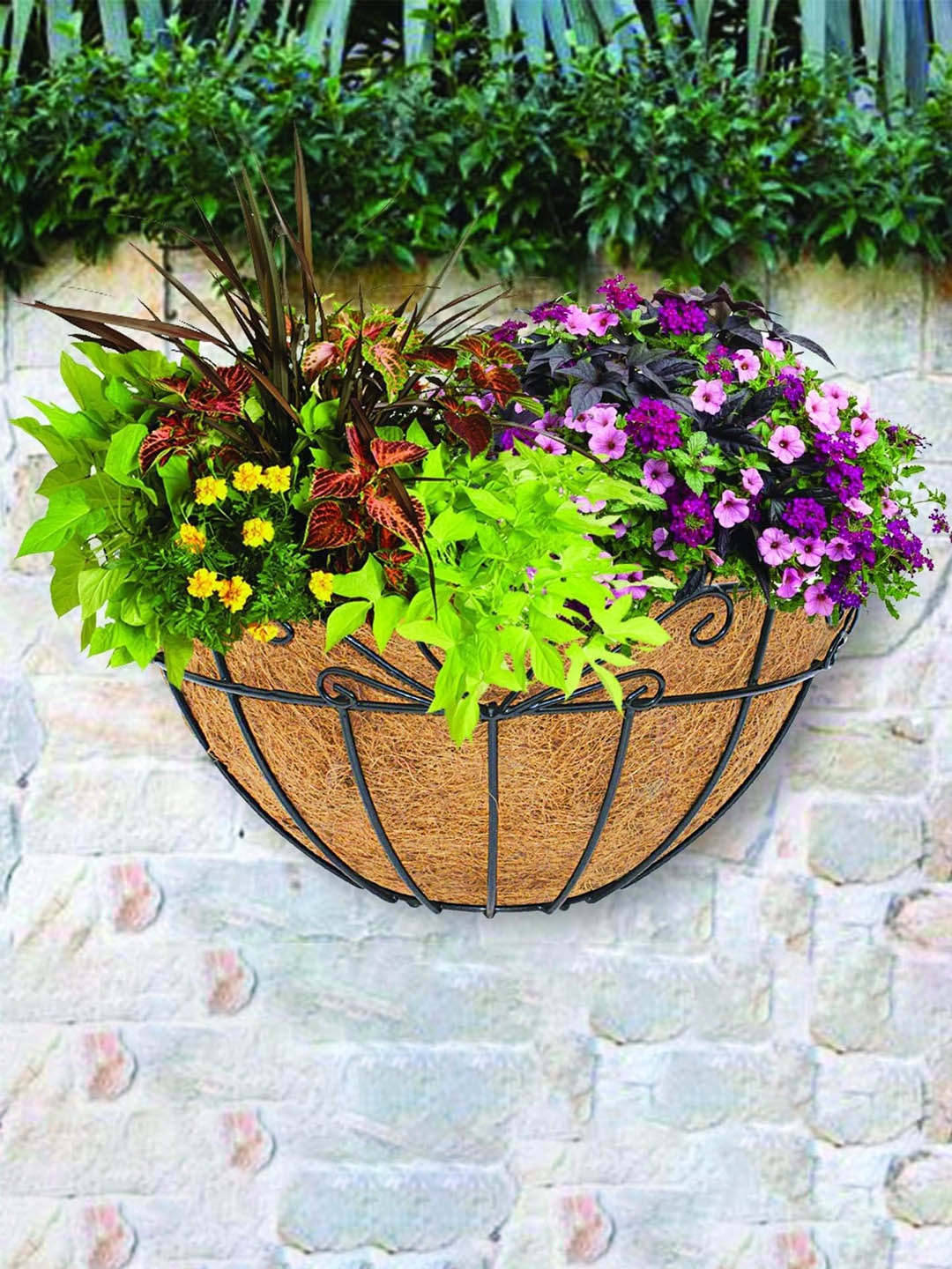 Garden Deco Black Brown 25 Pieces Metal Heart Design Wall Basket With Coir Liner Planters
Garden Deco Black Brown 25 Pieces Metal Heart Design Wall Basket With Coir Liner Planters
