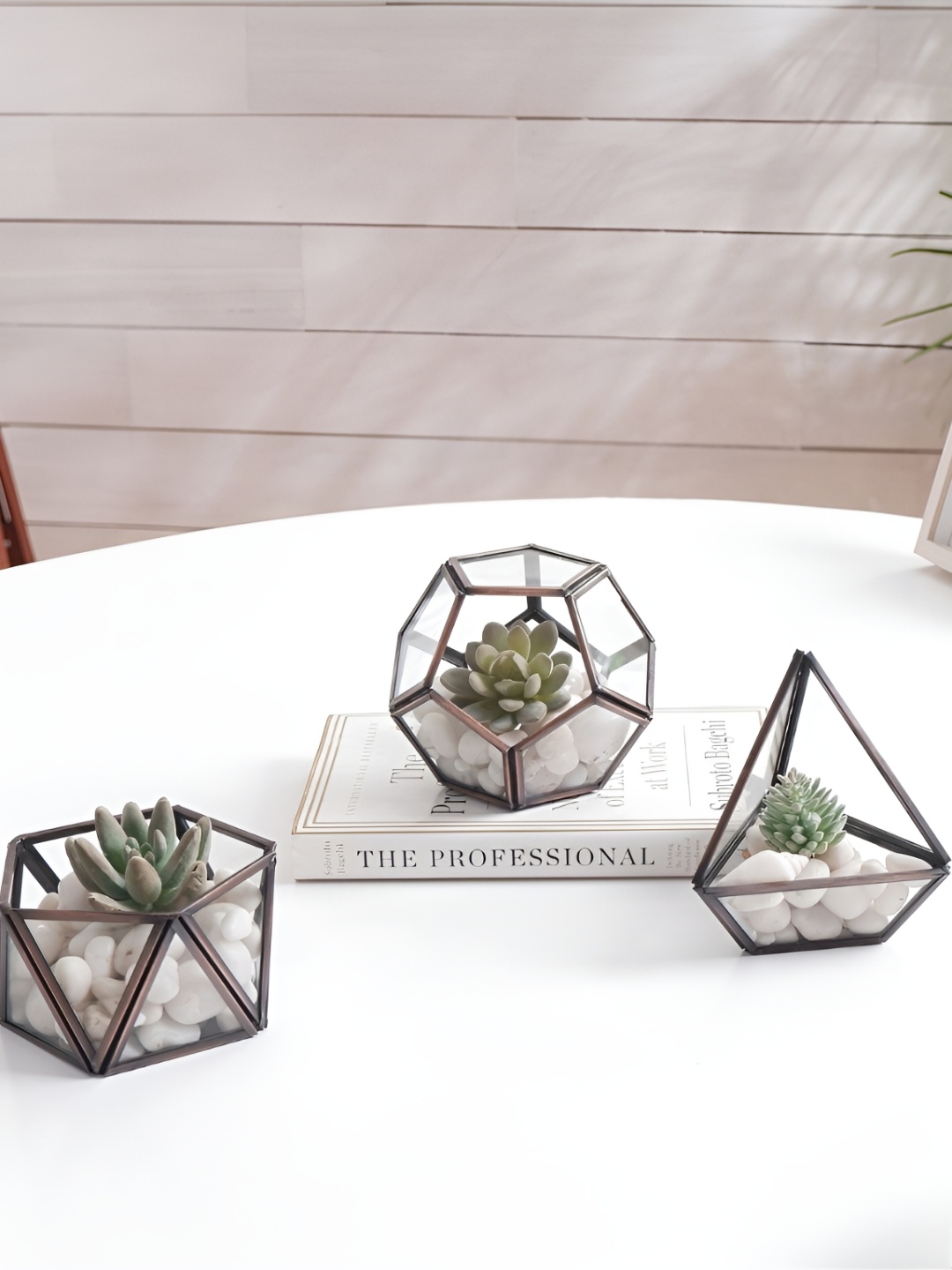 BEHOMA 3 Pieces Brown & Transparent Terrarium Glass With Copper Metal Frame Planters
BEHOMA 3 Pieces Brown & Transparent Terrarium Glass With Copper Metal Frame Planters