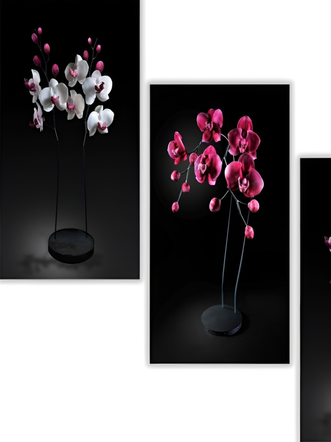 WALLMAX Black & Pink 3 Pieces Black & Pink Floral UV Texured Framed Photographs Wall Arts
WALLMAX Black & Pink 3 Pieces Black & Pink Floral UV Texured Framed Photographs Wall Arts