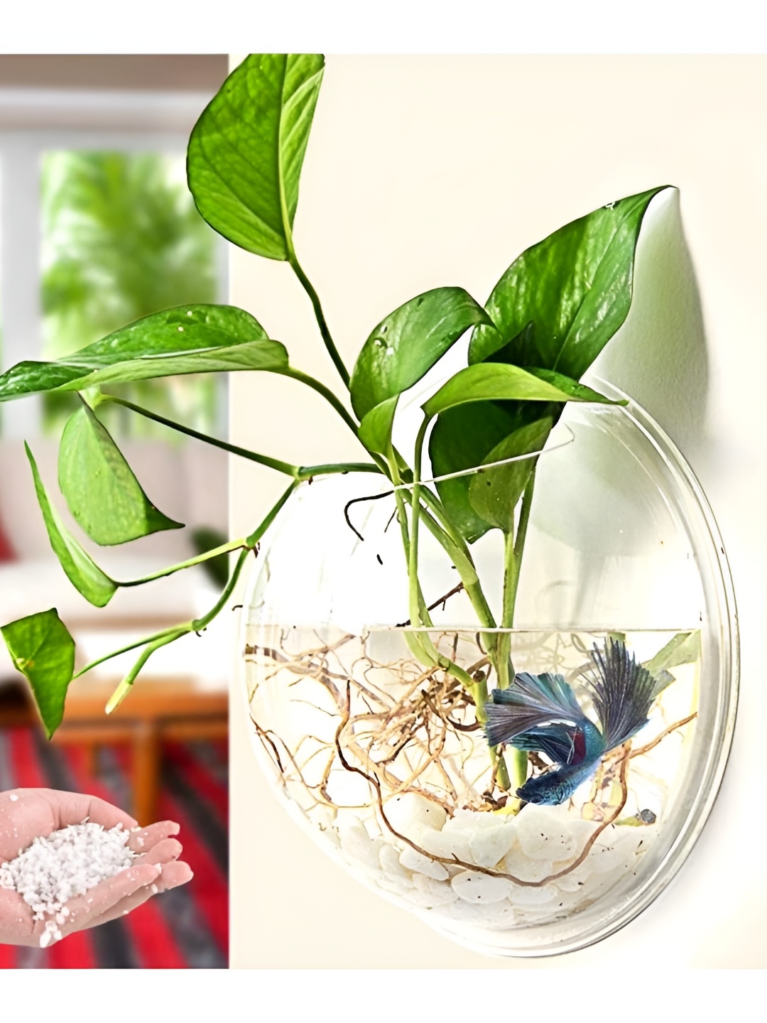 VAYINATO Transparent Hanging Bowl for Fish and Indoor Water Plants Wall Decor, White
VAYINATO Transparent Hanging Bowl for Fish and Indoor Water Plants Wall Decor, White