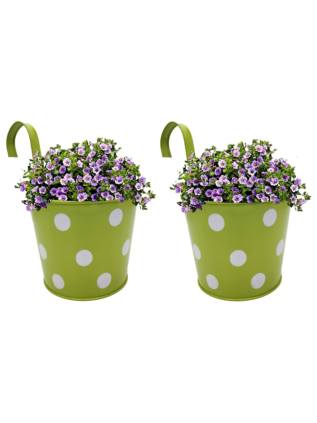 Garden Deco Green & White 2 Pieces Printed Railing Hanging Planters
Garden Deco Green & White 2 Pieces Printed Railing Hanging Planters