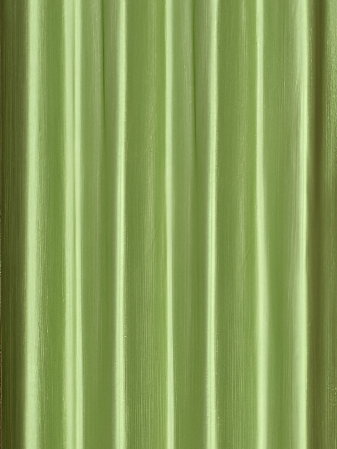 Galaxy Home Decor Green Set of 2 Floral Room Darkening Door Curtain