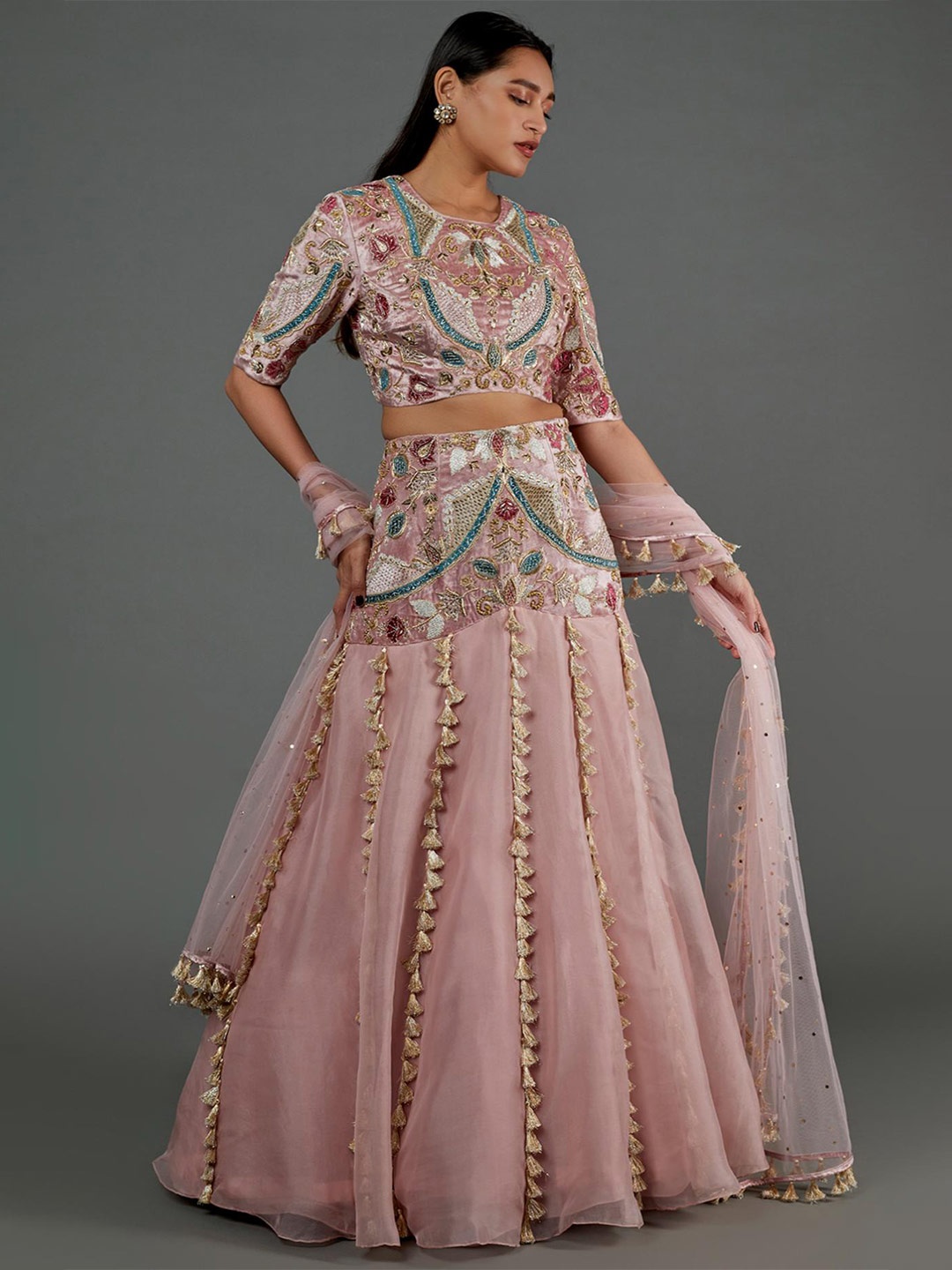 Payal Singhal Embroidered Beads and Stones Ready to Wear Lehenga & Blouse With Dupatta, Rose
Payal Singhal Embroidered Beads and Stones Ready to Wear Lehenga & Blouse With Dupatta, Rose