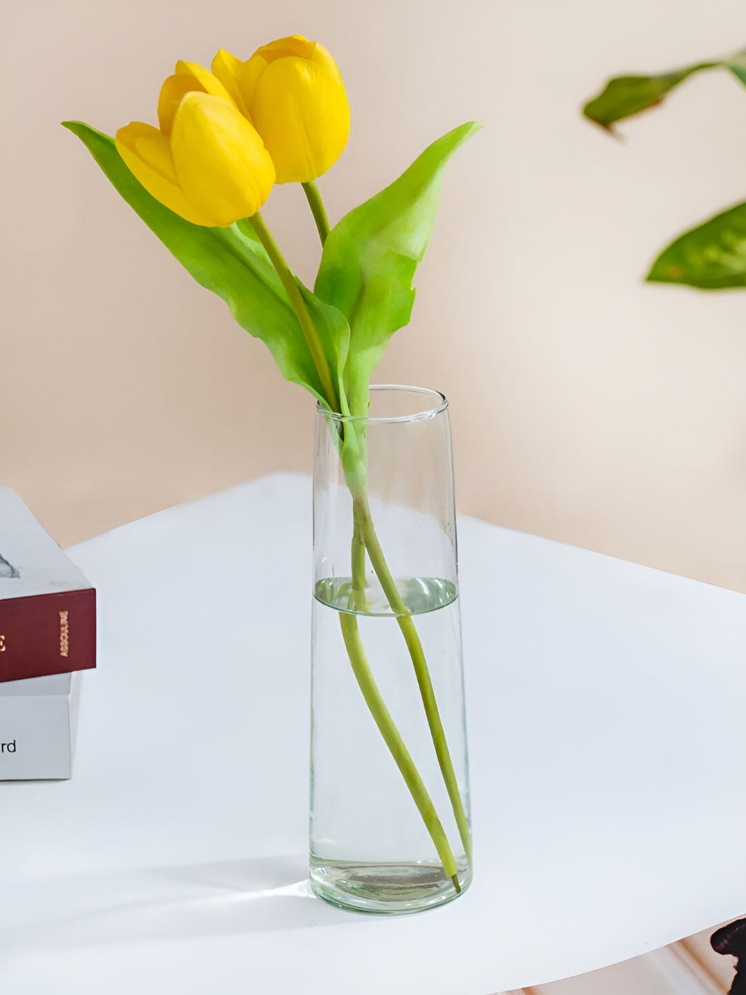 DecorTwist Transparent Solid Decorative Glass Flower Vase