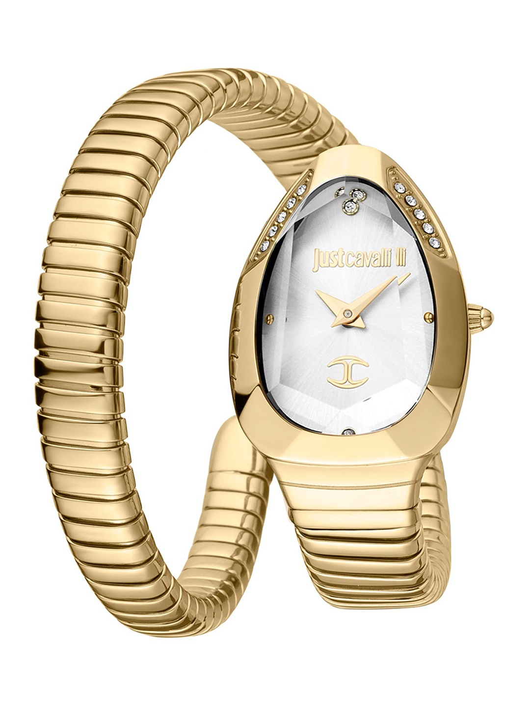 Just Cavalli Women Mother of Pearl Dial & Stainless Steel Analogue Watch JC1L208M0035, Gold
Just Cavalli Women Mother of Pearl Dial & Stainless Steel Analogue Watch JC1L208M0035, Gold