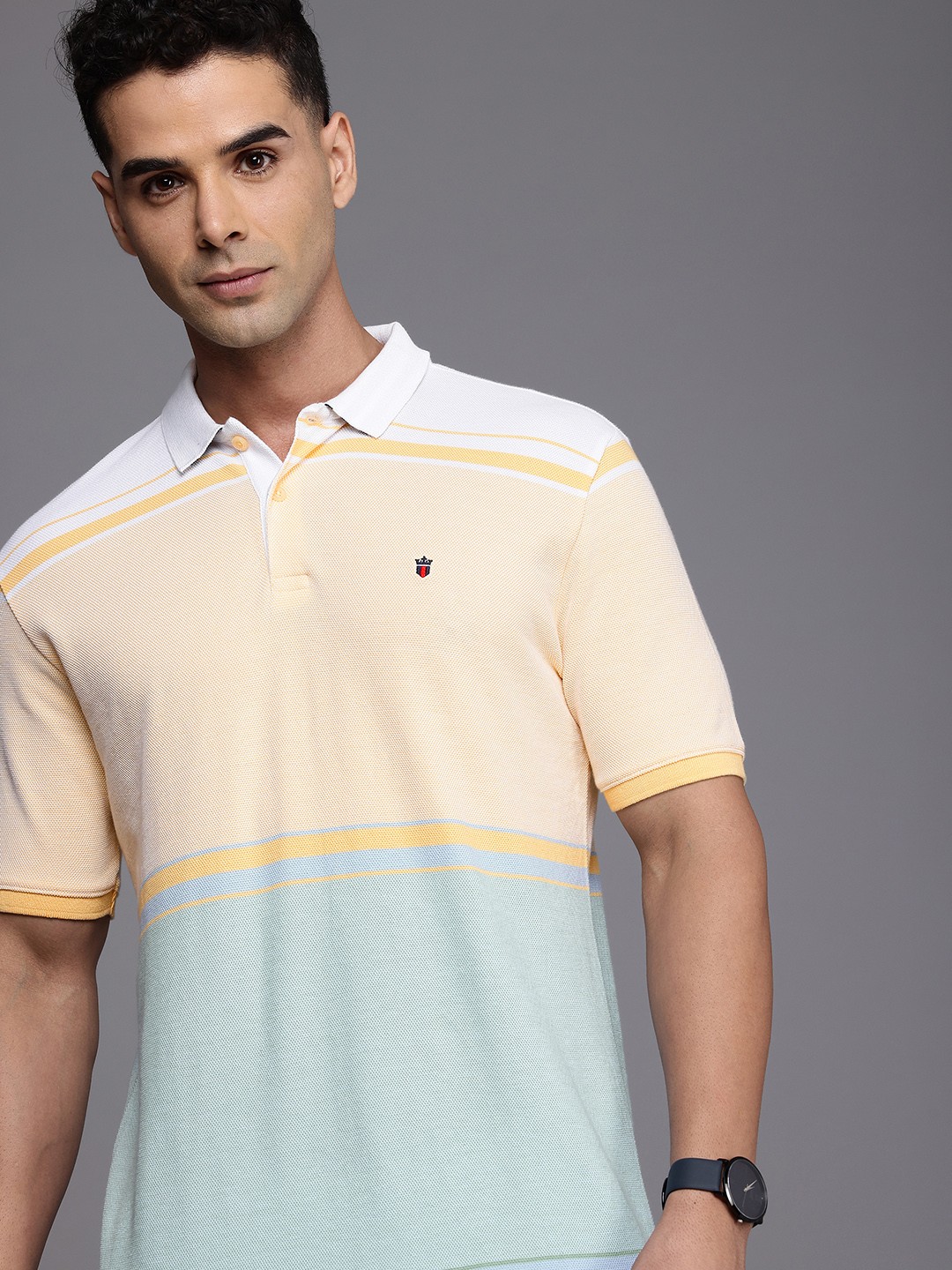 Louis Philippe Sport Men Colourblocked Polo Collar Pure Cotton Slim Fit T-shirt, Yellow
Louis Philippe Sport Men Colourblocked Polo Collar Pure Cotton Slim Fit T-shirt, Yellow