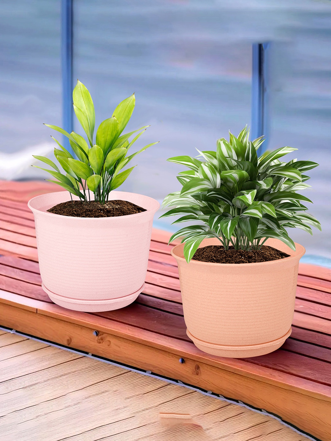 Kuber Industries Pink & Peach Coloured 2 Pieces Textured Flower Pot Planters With Tray
Kuber Industries Pink & Peach Coloured 2 Pieces Textured Flower Pot Planters With Tray