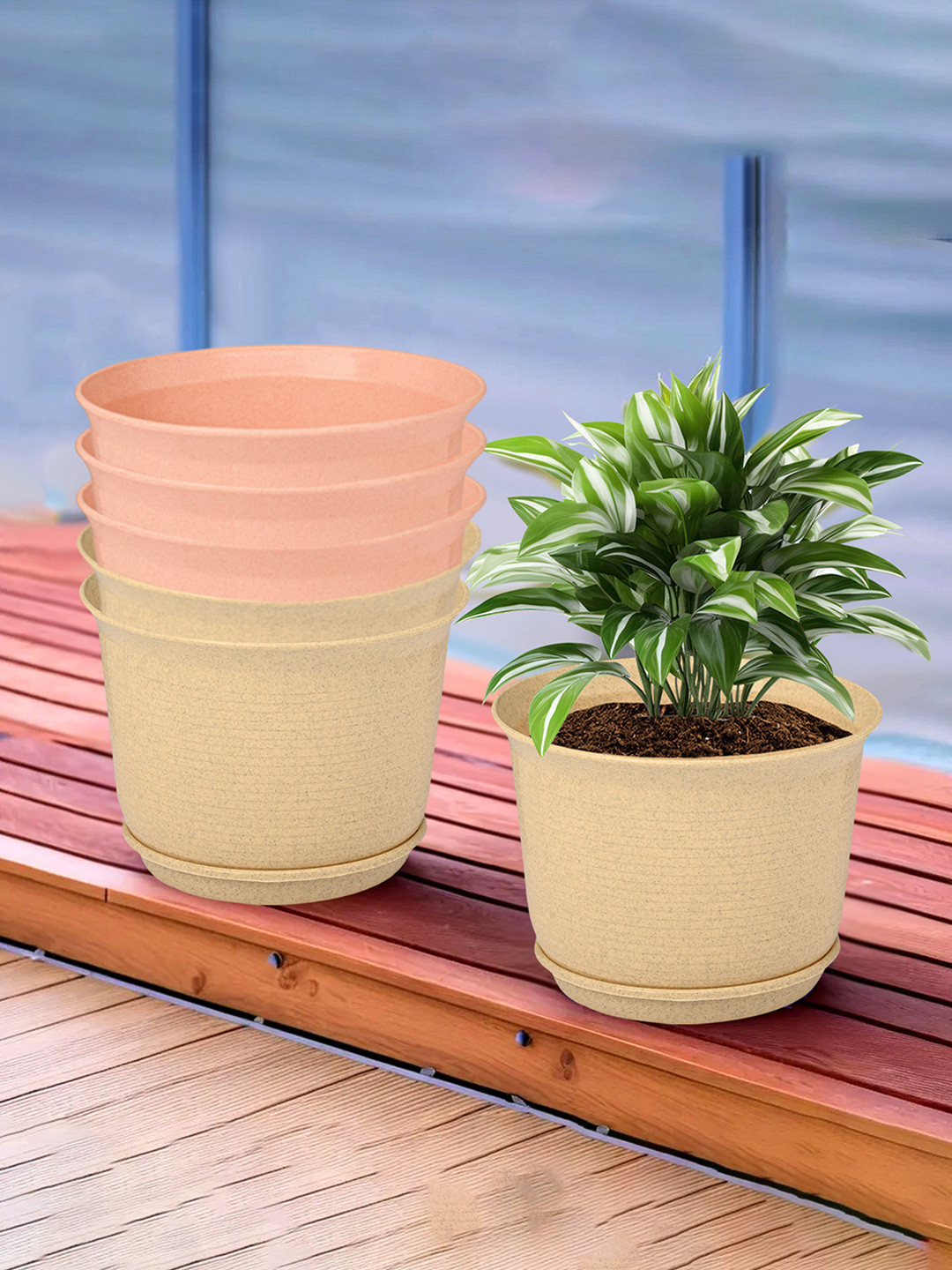 Kuber Industries Beige & Peach Coloured 6 Pieces Textured Flower Pot Planters With Tray
Kuber Industries Beige & Peach Coloured 6 Pieces Textured Flower Pot Planters With Tray