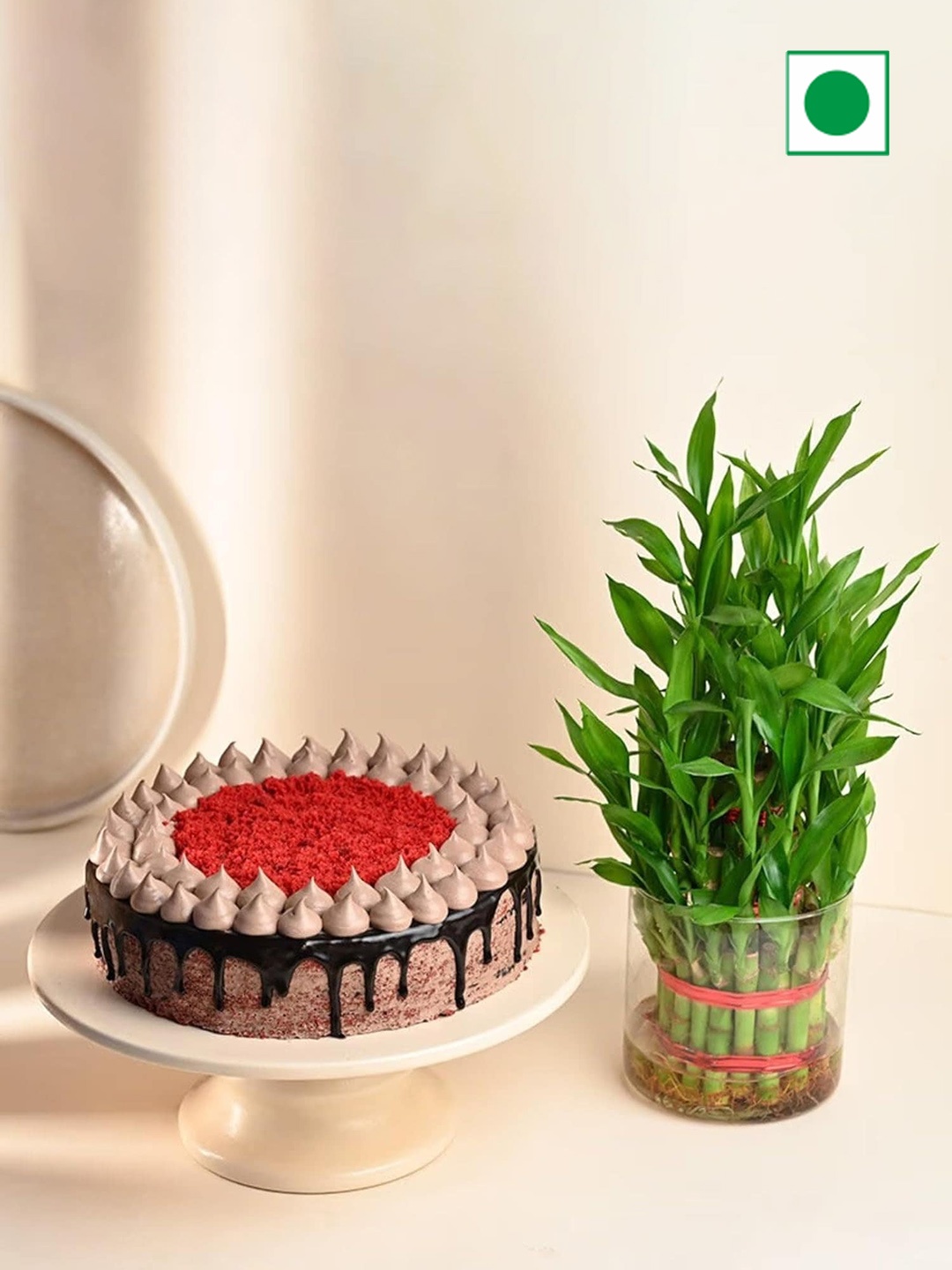 Floweraura Live Bamboo Plant Love Special Fresh Velvet Flavour Round Shpae Cake-500 g, Green
Floweraura Live Bamboo Plant Love Special Fresh Velvet Flavour Round Shpae Cake-500 g, Green