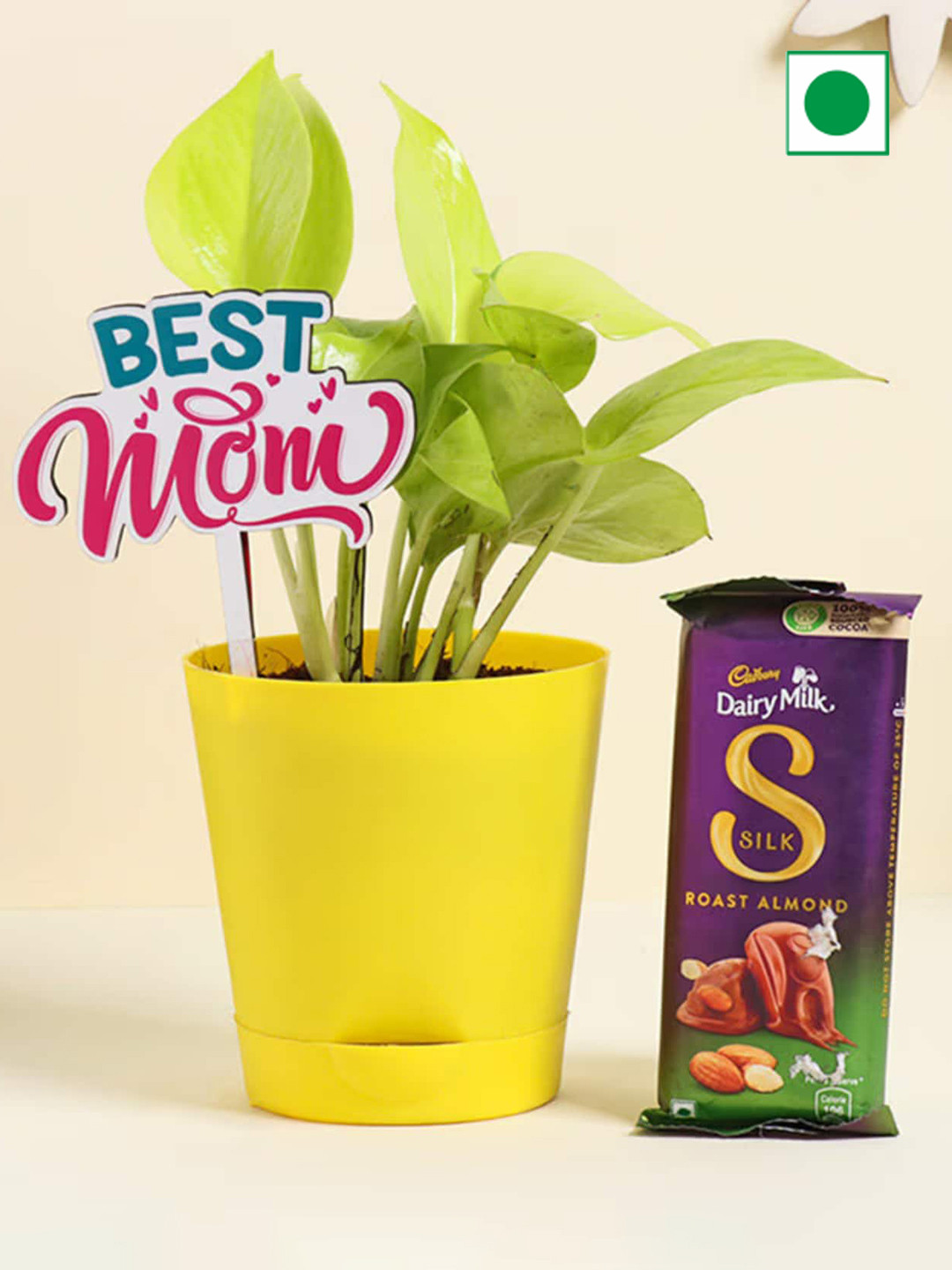 Floweraura Air Purifying Golden Money Live Indoor Plant In Pot With Topper & Chocolate, Yellow
Floweraura Air Purifying Golden Money Live Indoor Plant In Pot With Topper & Chocolate, Yellow