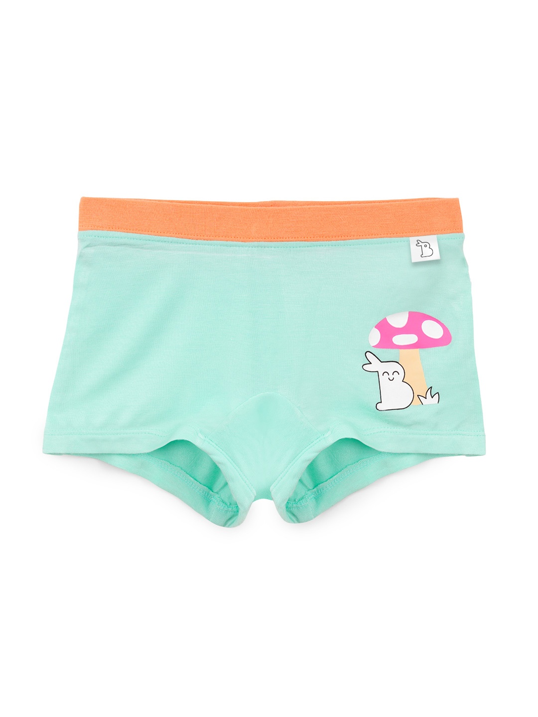 SuperBottoms Girl Supersoft Premium Antimicrobial Mid-Rise Bamboo BoyShorts Briefs, Sea green
SuperBottoms Girl Supersoft Premium Antimicrobial Mid-Rise Bamboo BoyShorts Briefs, Sea green