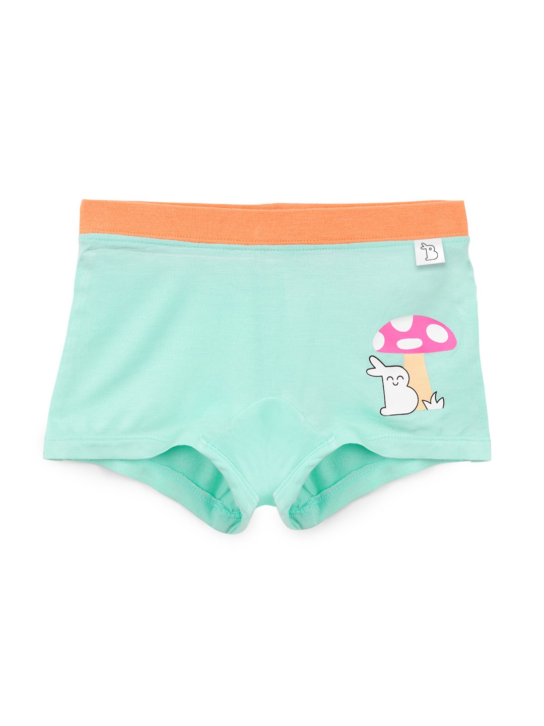 SuperBottoms Girl Supersoft Premium Antimicrobial Mid-Rise Bamboo BoyShorts Briefs, Green
SuperBottoms Girl Supersoft Premium Antimicrobial Mid-Rise Bamboo BoyShorts Briefs, Green