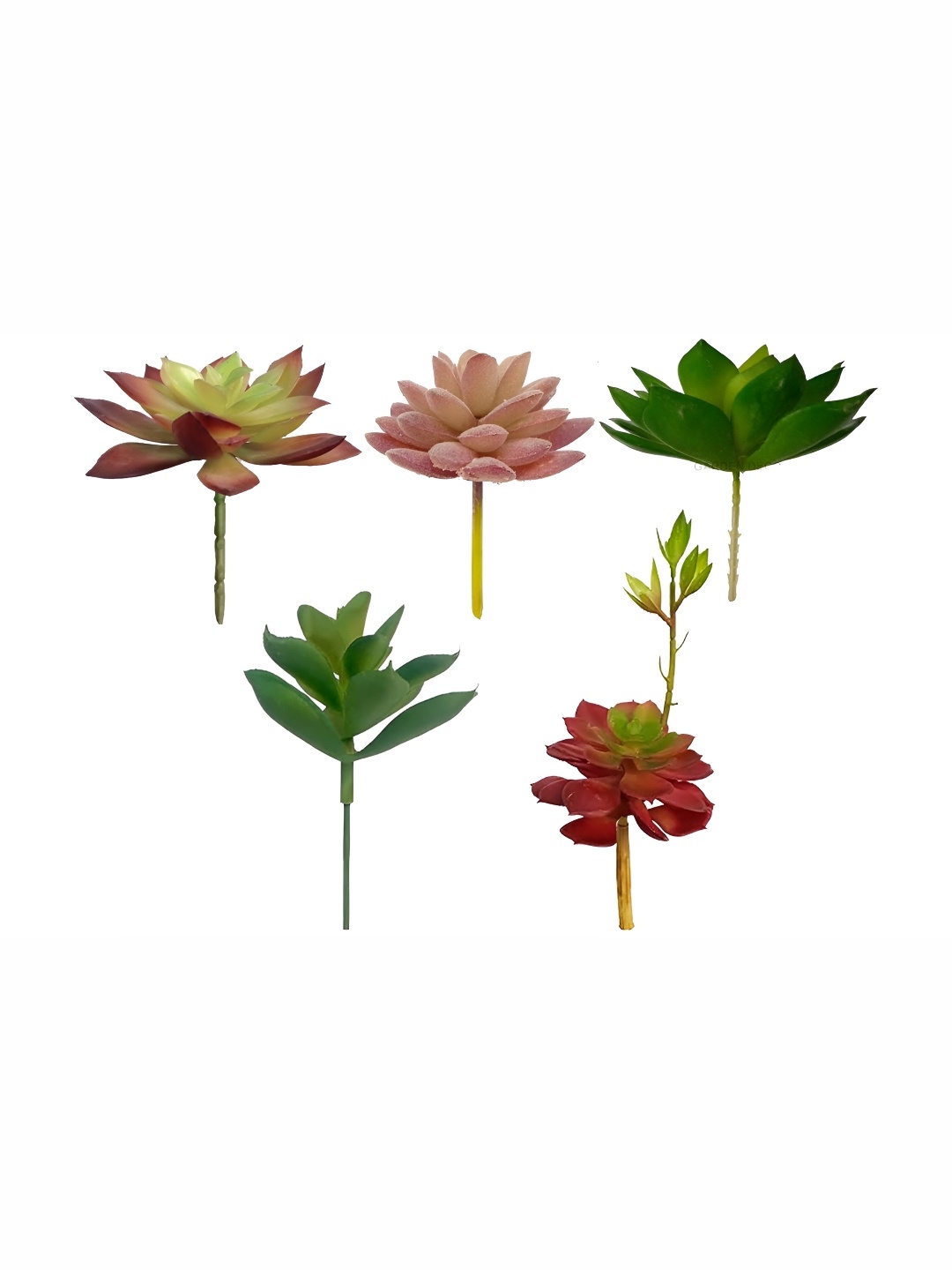 Garden Deco Green 5 Pieces Succulent Artificial Plant