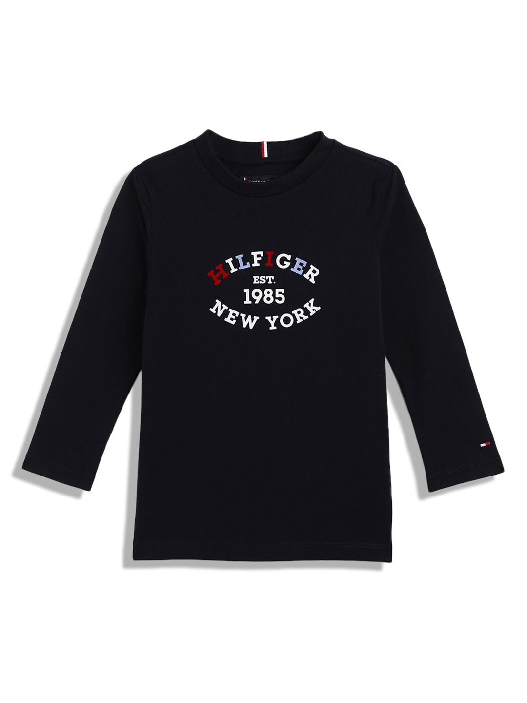 Tommy Hilfiger Boys Typography Printed Long Sleeves Pure Cotton Casual T-shirt, Blue
Tommy Hilfiger Boys Typography Printed Long Sleeves Pure Cotton Casual T-shirt, Blue