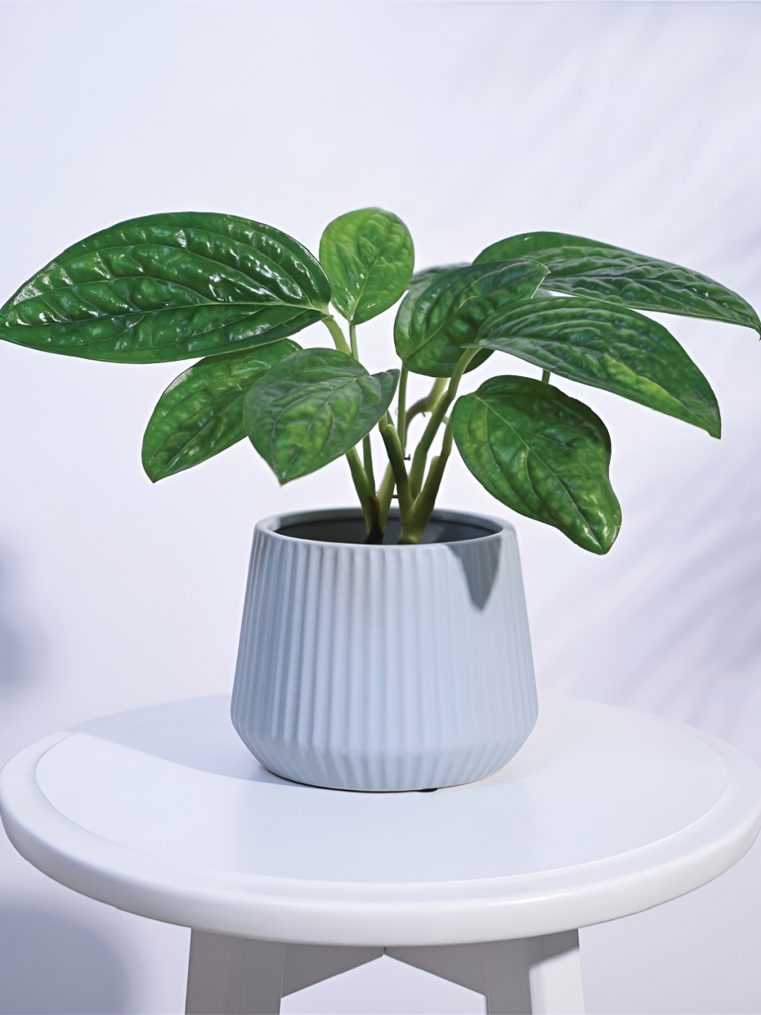UGAOO Grey Ribbed Ceramic Pot Planter