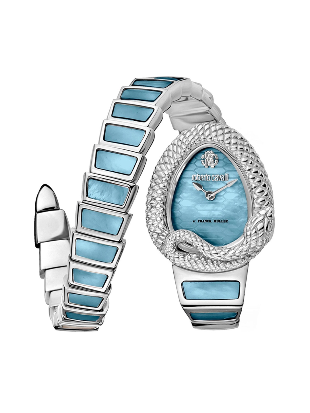 Roberto Cavalli by Franck Muller Women Stainless Steel Straps Analogue Watch RV1L141M0151, Blue
Roberto Cavalli by Franck Muller Women Stainless Steel Straps Analogue Watch RV1L141M0151, Blue