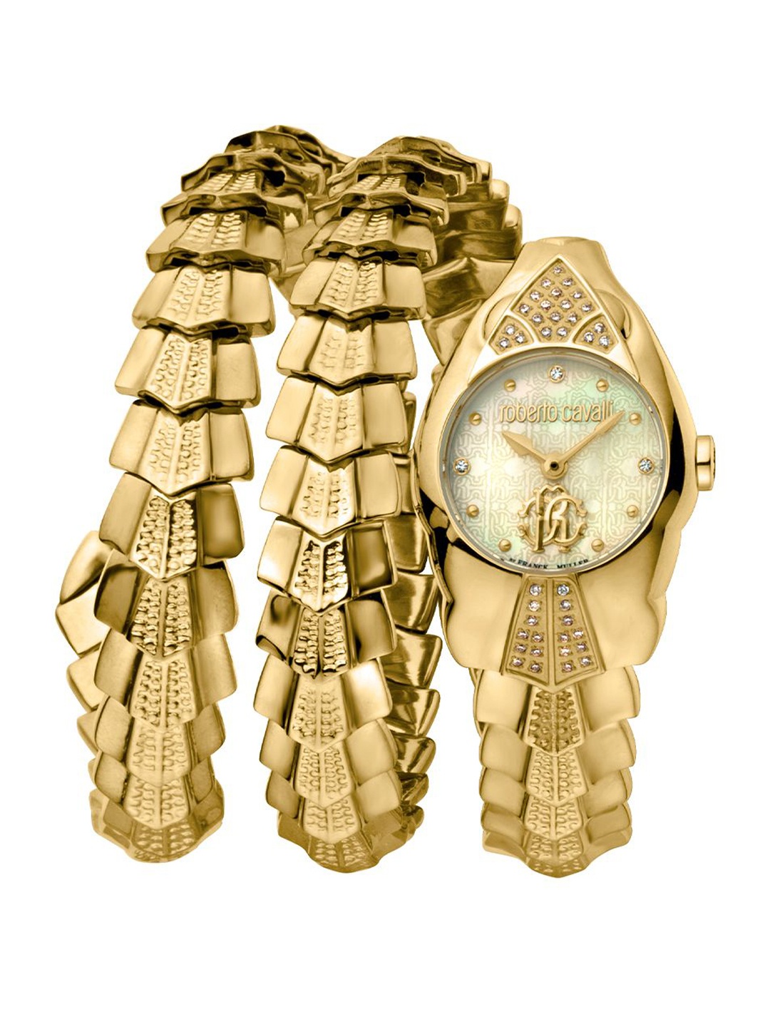 Roberto Cavalli by Franck Muller Women Dial & Stainless Steel Bracelet Style Straps Analogue Automatic Watch, Gold
Roberto Cavalli by Franck Muller Women Dial & Stainless Steel Bracelet Style Straps Analogue Automatic Watch, Gold