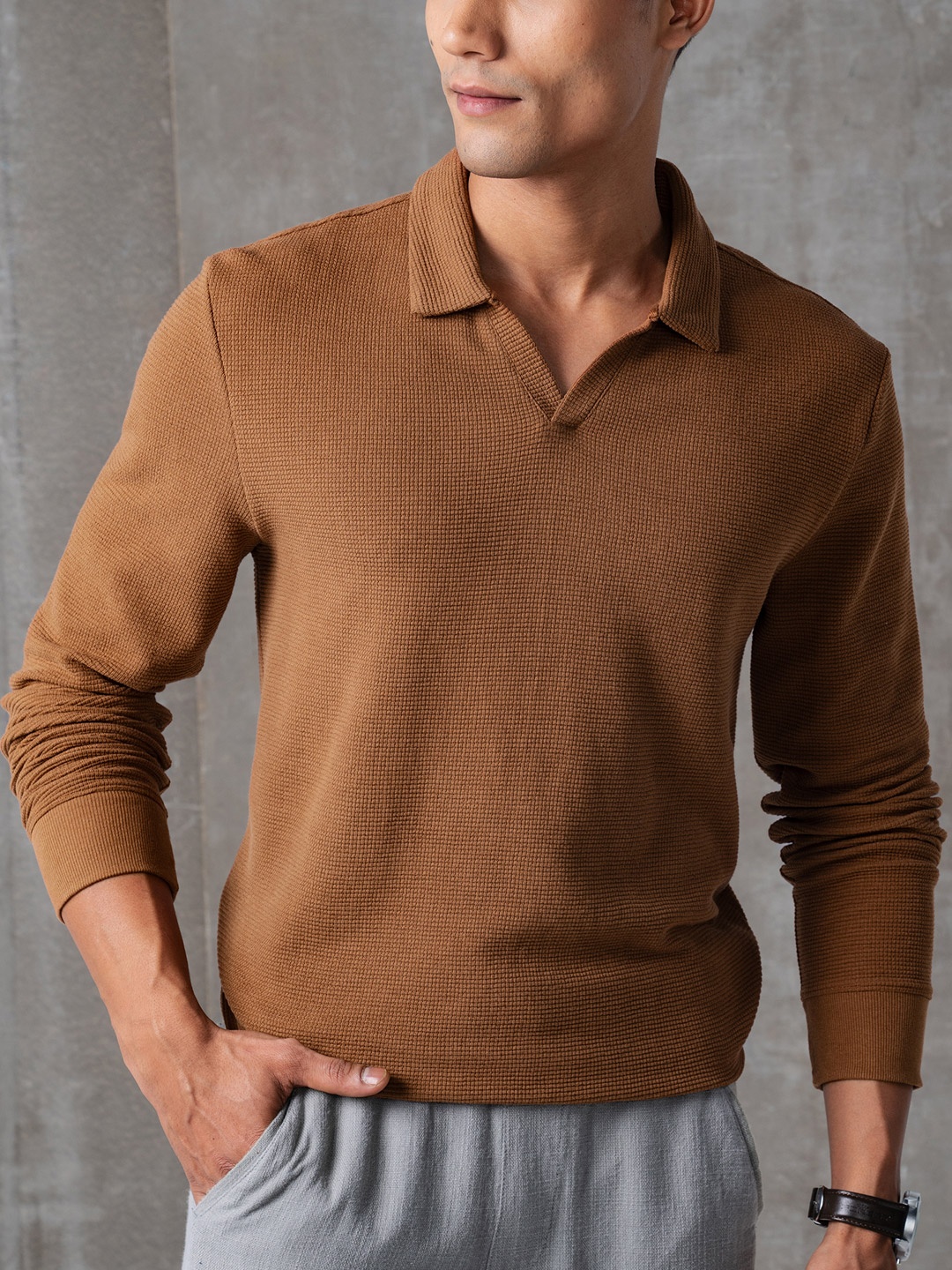 DAMENSCH Statement Waffle Texture Premium Johnny Collar Full Sleeve Polo T Shirt, Brown
DAMENSCH Statement Waffle Texture Premium Johnny Collar Full Sleeve Polo T Shirt, Brown