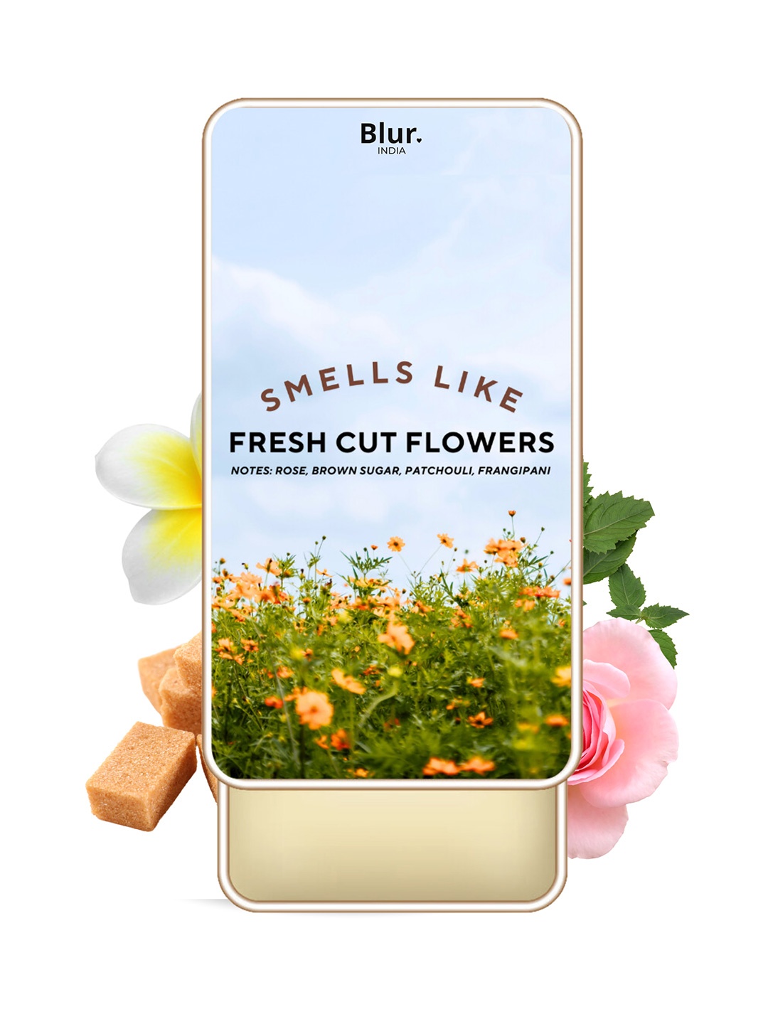 BLUR INDIA Women Smells Like A Fresh Cut Flower Alcohol Free Solid Perfume - 10 g, Transparent
BLUR INDIA Women Smells Like A Fresh Cut Flower Alcohol Free Solid Perfume - 10 g, Transparent