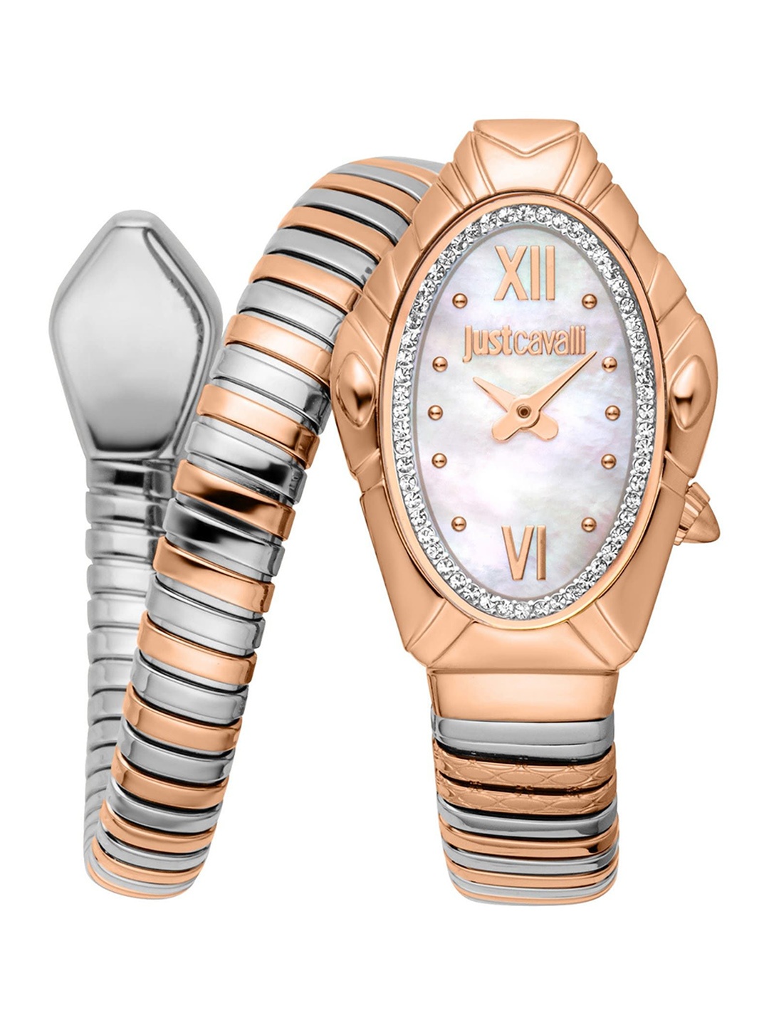 Just Cavalli Women Dial & Stainless Steel Bracelet Style Straps Watch JC1L357M0065, Multi
Just Cavalli Women Dial & Stainless Steel Bracelet Style Straps Watch JC1L357M0065, Multi