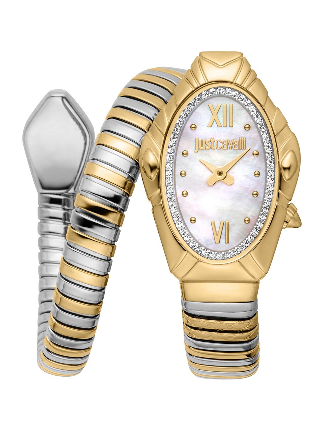 Just Cavalli Women Mother of Pearl Dial & Reset Time Analogue Watch JC1L357M0055, White
Just Cavalli Women Mother of Pearl Dial & Reset Time Analogue Watch JC1L357M0055, White