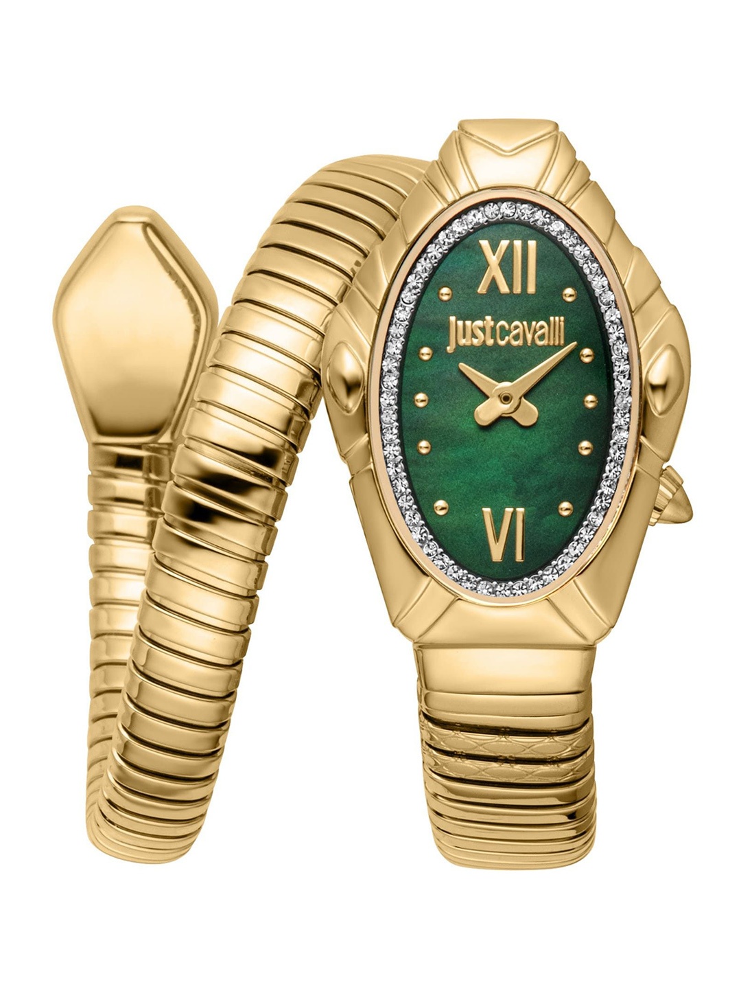 Just Cavalli Women Embellished Dial & Stainless Steel Analogue Watch JC1L357M0035, Green
Just Cavalli Women Embellished Dial & Stainless Steel Analogue Watch JC1L357M0035, Green