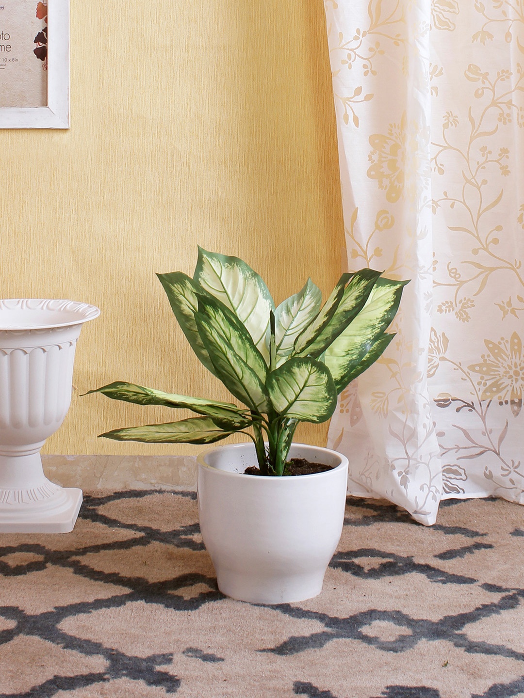 Fourwalls Green & White Artificial Dieffenbachia Floor Plant Without Pot