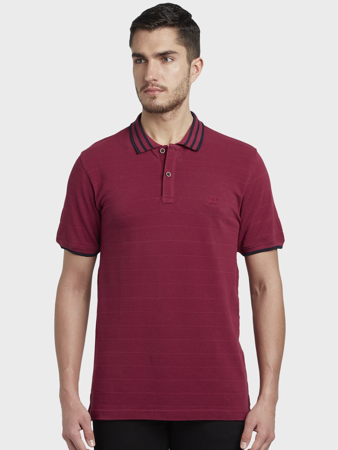 ColorPlus Men Maroon Solid Polo Collar T-shirt