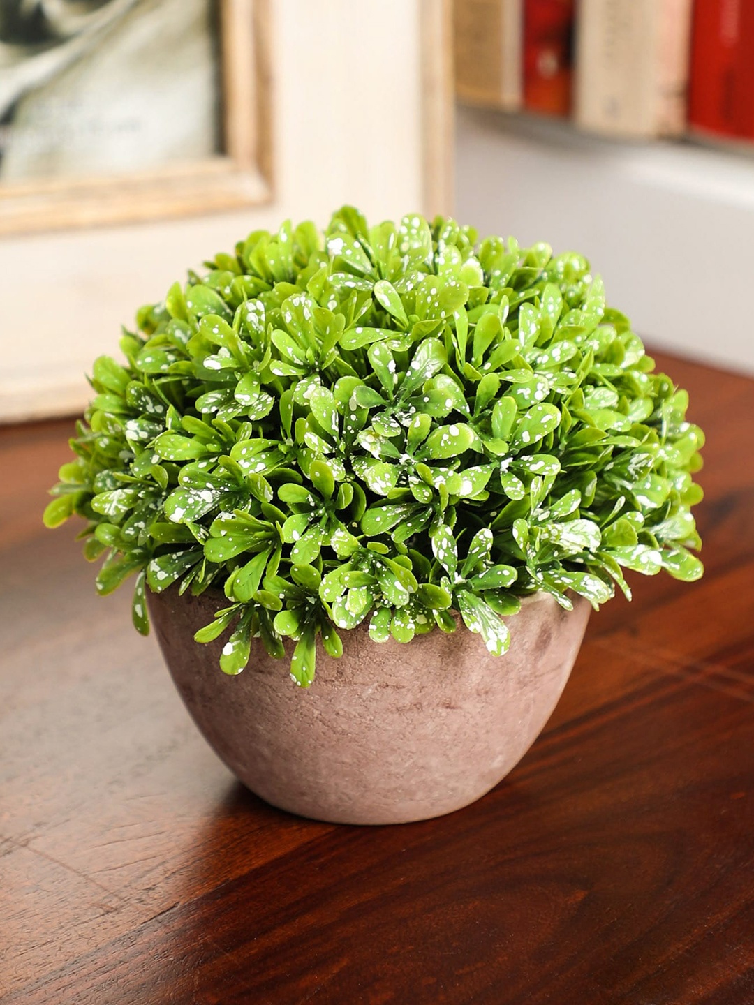 PolliNation Green White Set of 2 Artificial Bonsai