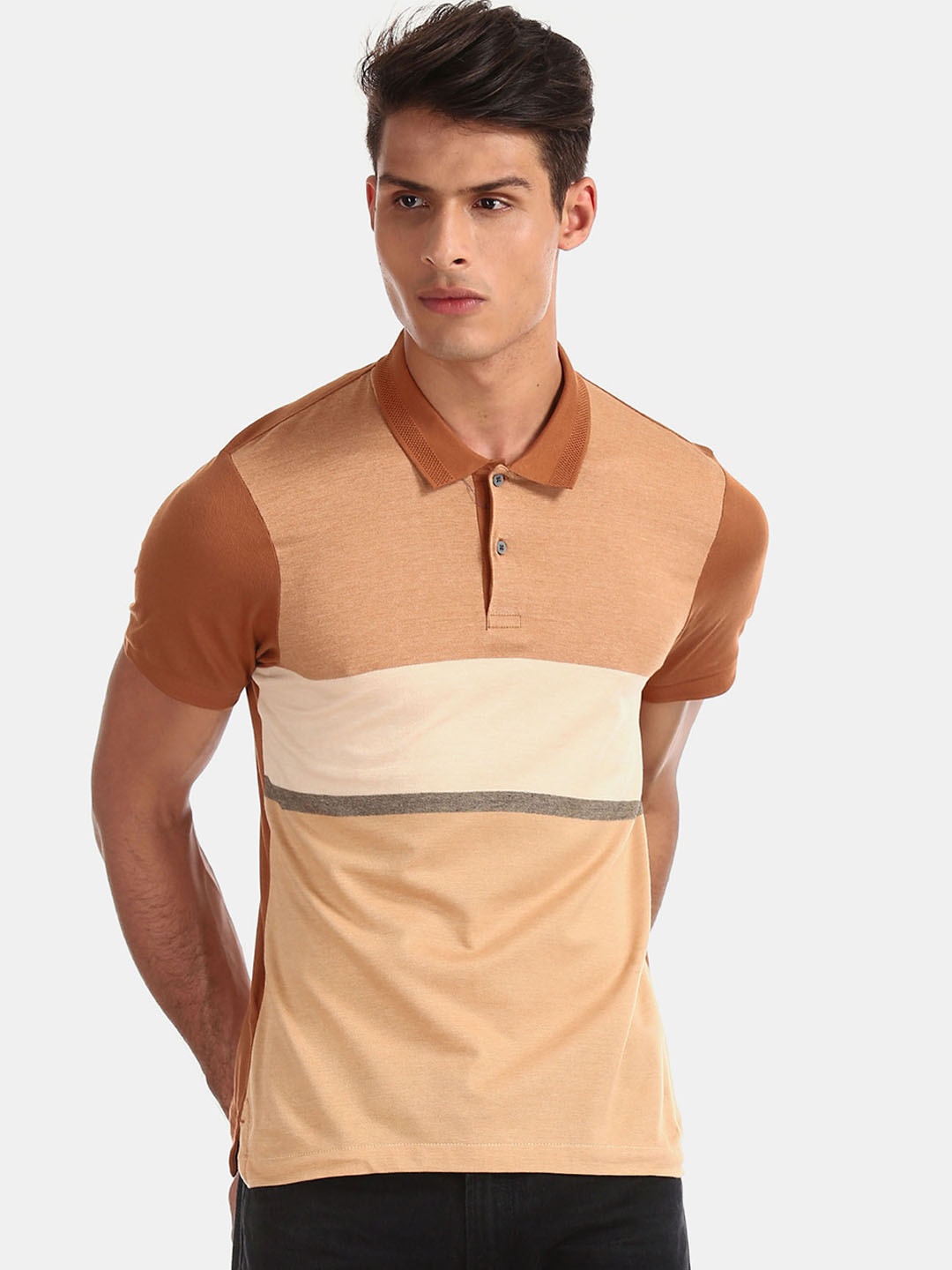 Arrow Men Brown Colourblocked Polo Collar Pure Cotton T-shirt