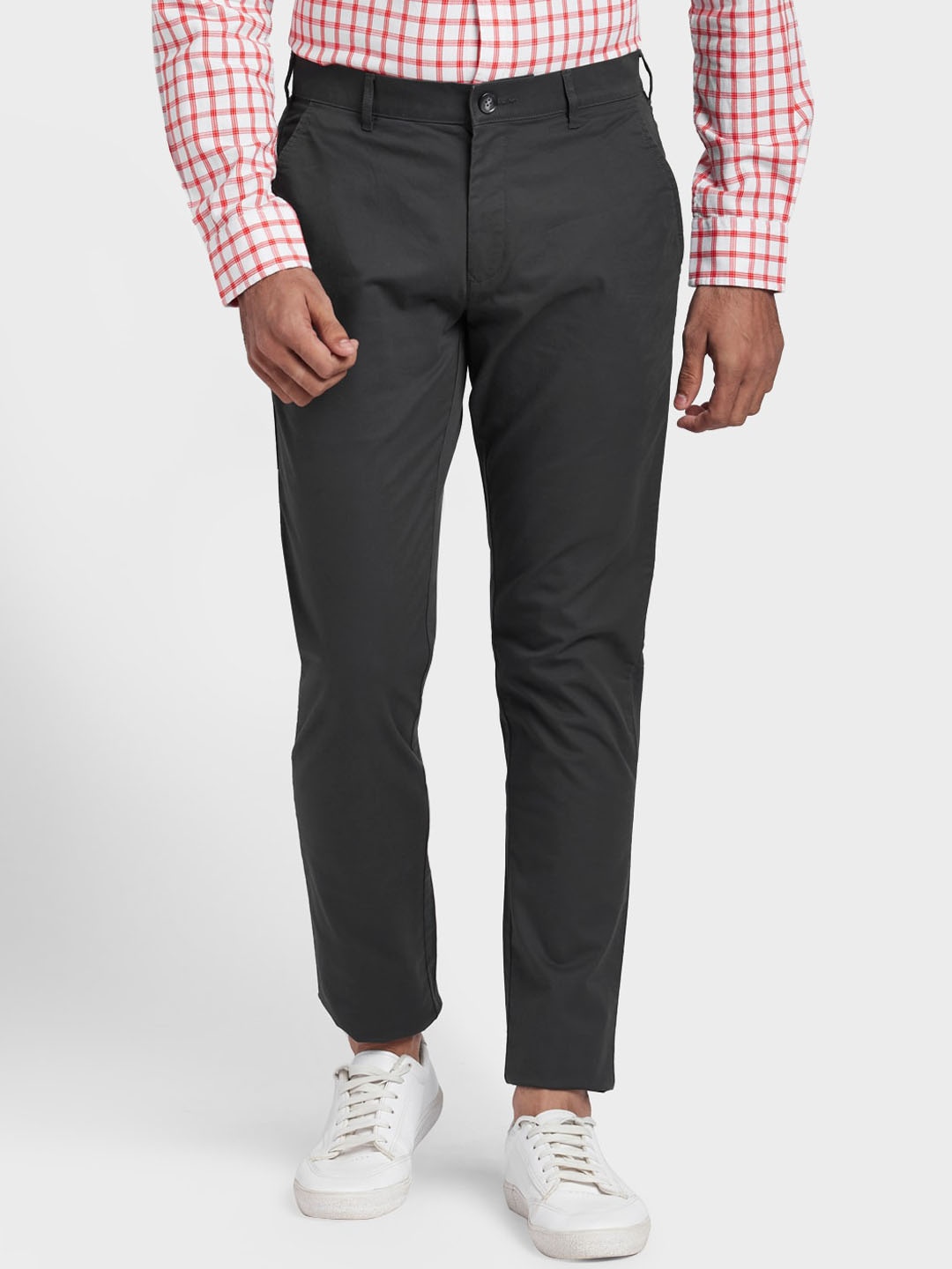ColorPlus Men Charcoal Regular Fit Solid Chinos