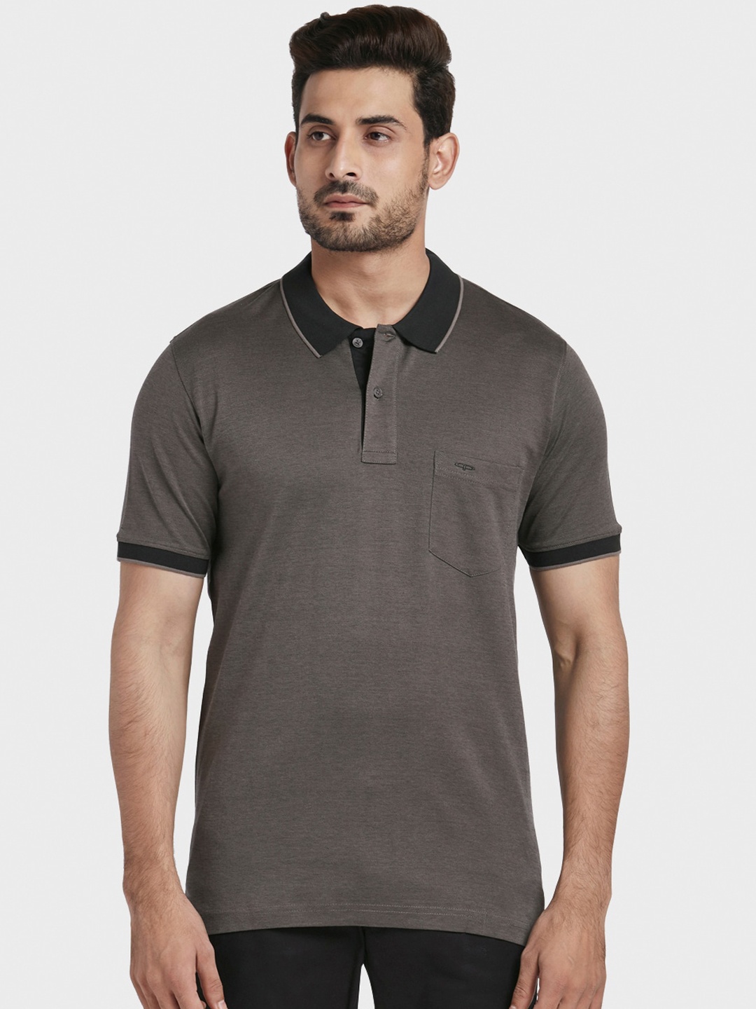 ColorPlus Men Grey Solid Polo Collar T-shirt