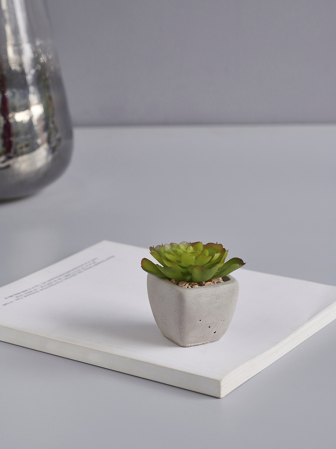 Pure Home and Living Set Of 4 Green & White Artificial Succulent Plant With Pots
Pure Home and Living Set Of 4 Green & White Artificial Succulent Plant With Pots