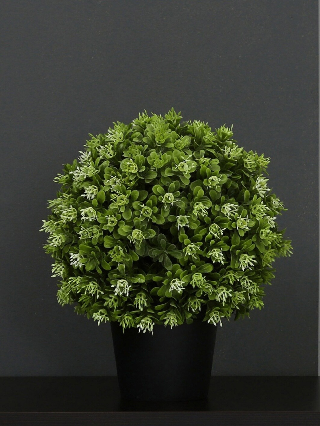 Home Centre Black & Green Artificial Bean Ball Plants with Plastic Pot