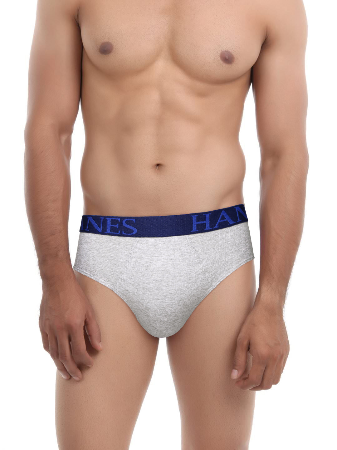 Myntra Hanes Men Pack of 2 Grey Briefs C009 732541 | Buy Myntra Hanes Briefs at best price 