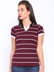 HARVARD Maroon Striped Polo T-shirt