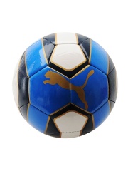 Puma Unisex Blue & White evoPOWER Graphic Printed Football