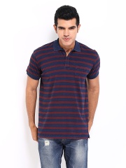 Scullers Men Blue & Red Striped Polo T-shirt